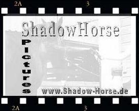 www.shadow-horse.de Horse-Pictures